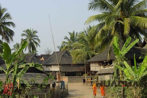 『隨華全，觀天下』 ——走進勐海