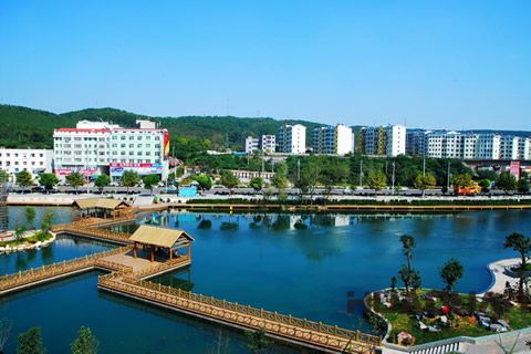 『隨華全，觀天下』 ——走進荊門