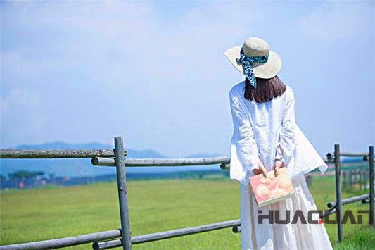 華全動(dòng)力唯美圖