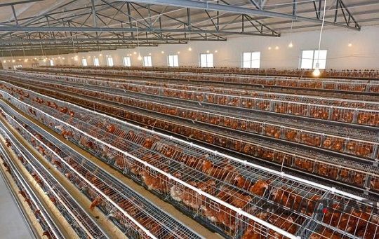 迎風(fēng)而上冒雨前行，華全發(fā)電機組用實際行動助力南京抵御臺風(fēng)侵襲