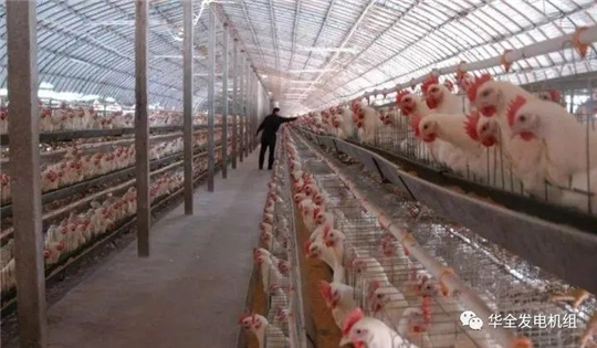 華全燃氣發電機組深受畜牧養殖業喜愛，竟是因為這！